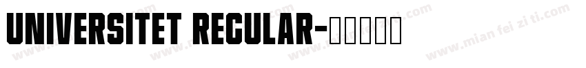 Universitet Regular字体转换